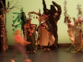 IME-spectacle-3
